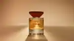 video-fallback-image