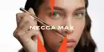 video-fallback-image