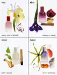 Alternative Image Glossier Glossier You Wardrobe