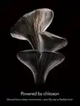 Alternative Image Dyson Chitosan Multi Use Styling Spray