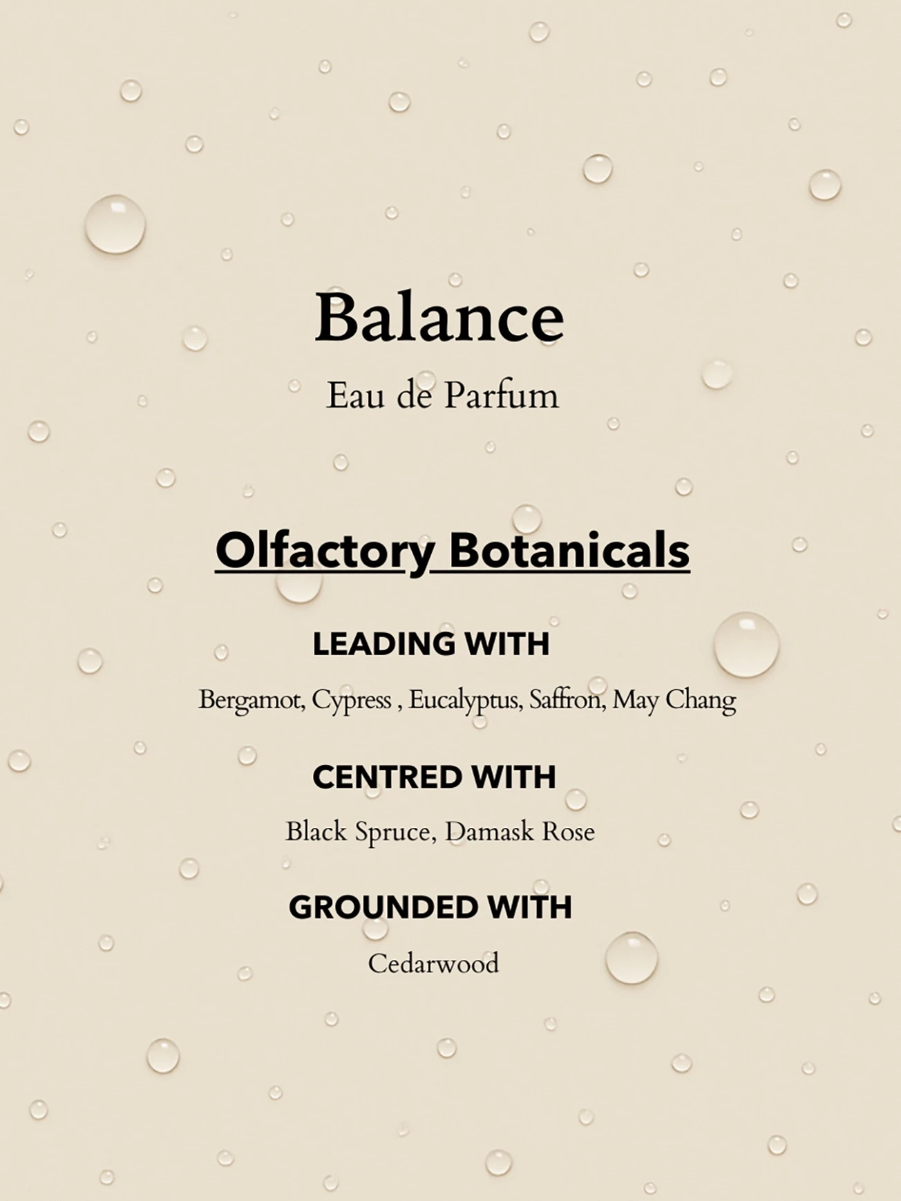 Alternative Image Anatome Balance EDP