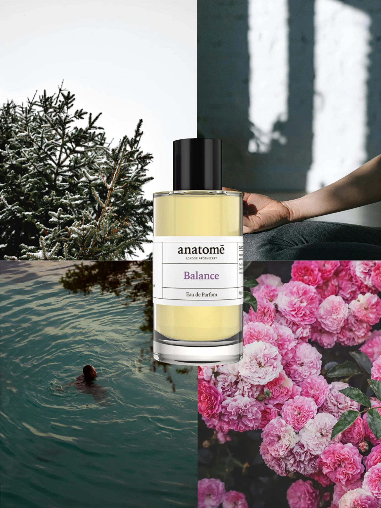 Alternative Image Anatome Balance EDP