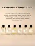 Alternative Image Anatome Expression Functional Fragrance100ml
