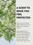 Alternative Image Anatome Support Functional Fragrance100ml