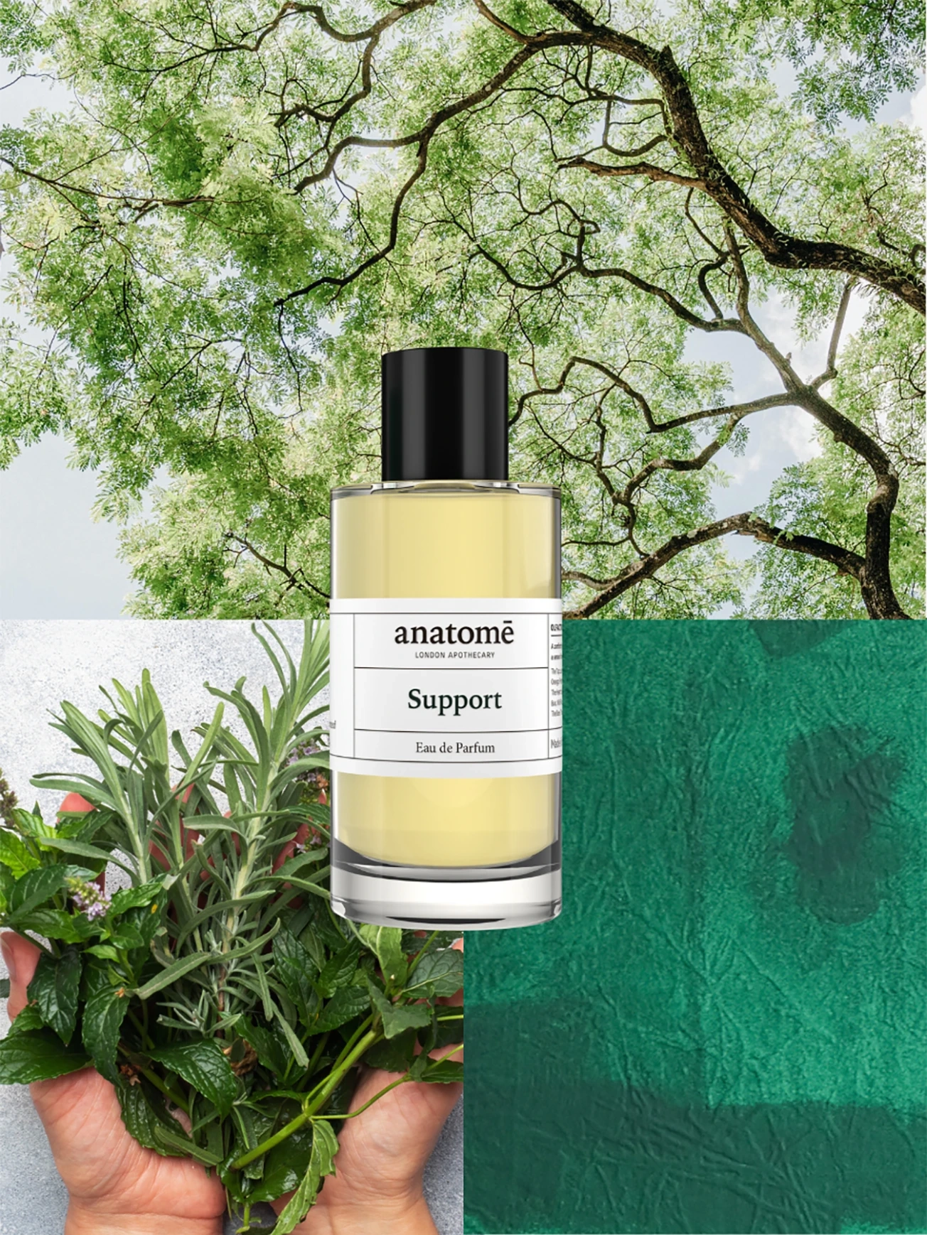 Alternative Image Anatome Support Functional Fragrance100ml