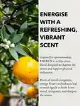 Alternative Image Anatome Energy Functional Fragrance100ml