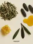 Alternative Image Anatome Order Functional Fragrance100m