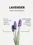 Alternative Image Anatome The Little Gift Of Good Sleep Lavender