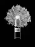 Alternative Image David Mallett Volume Powder