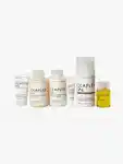Alternative Image Olaplex Full On Shine Set