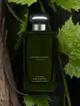 Alternative Image Jo Malone London Cypress And Grapevine Cologne Intense