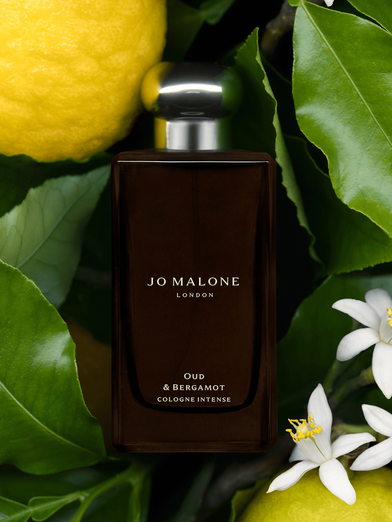 Jo Malone London - Oud & Bergamot Cologne Intense | MECCA