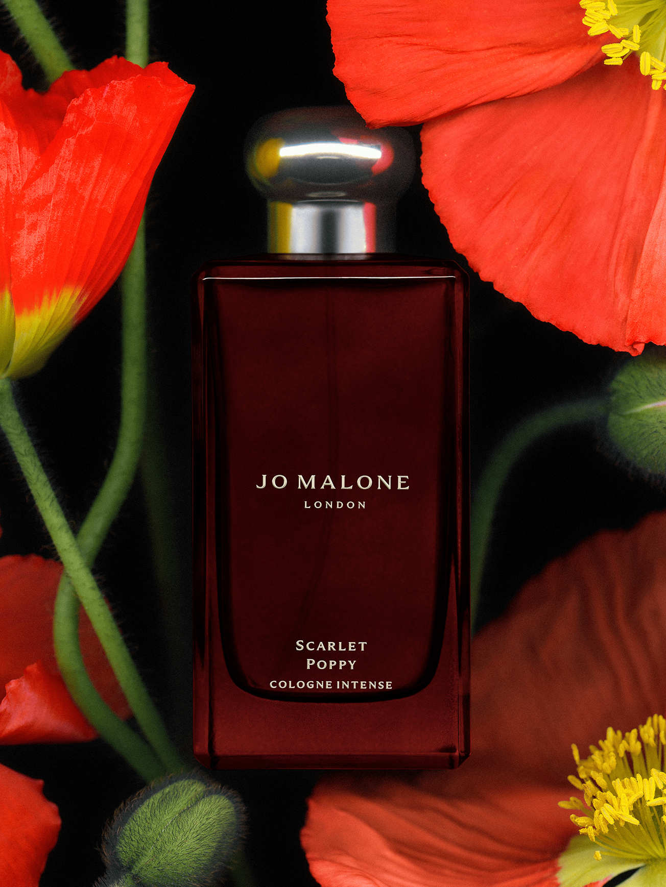Jo Malone London - Scarlet & Poppy Cologne Intense | MECCA