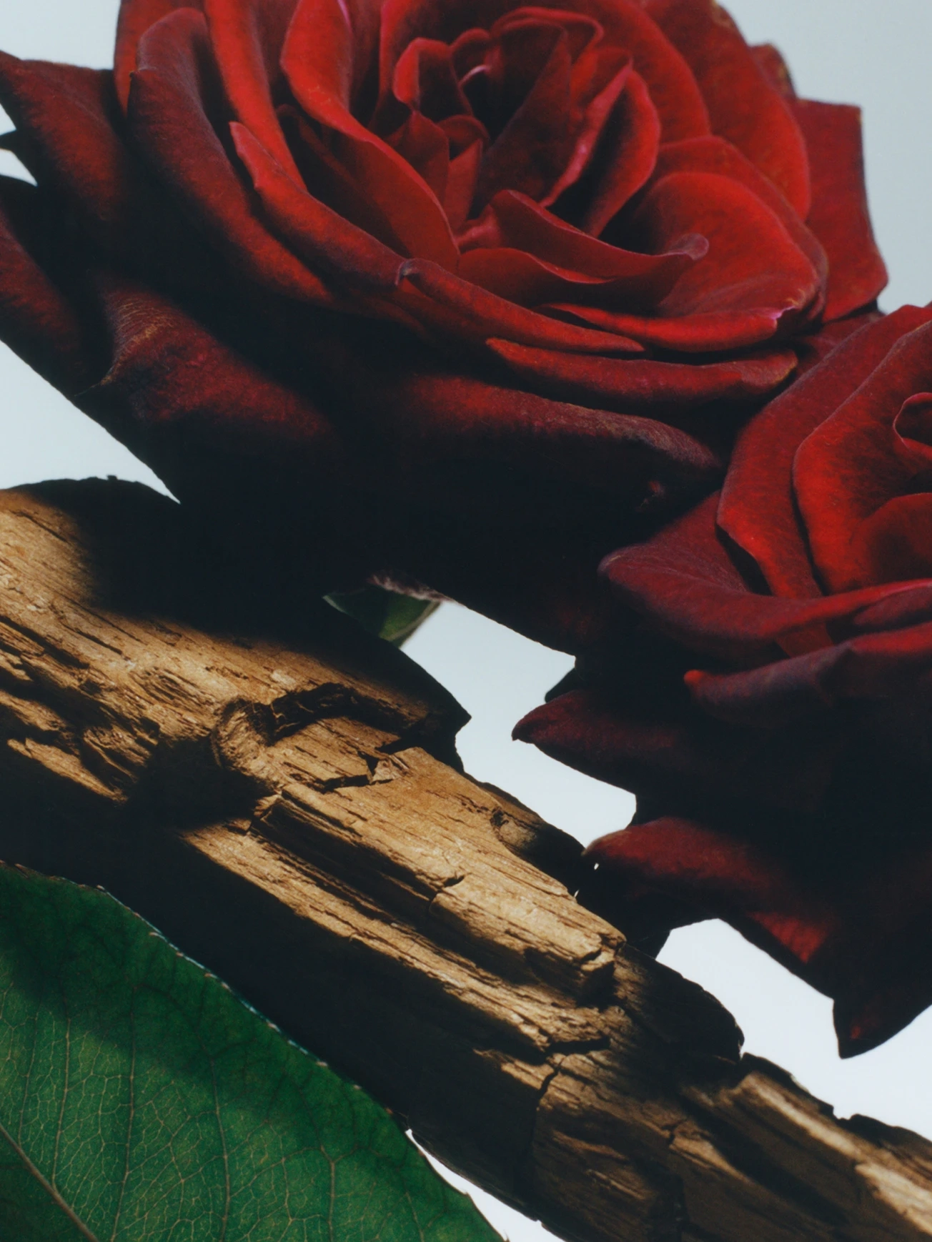 Jo Malone London - Velvet Rose & Oud Cologne Intense | MECCA