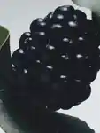 Alternative Image Jo Malone London Blackberry Bay Cologne