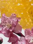 Alternative Image Jo Malone London Nectarine Blossom Honey Cologne