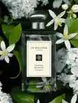 Alternative Image Jo Malone London Orange Blossom Cologne