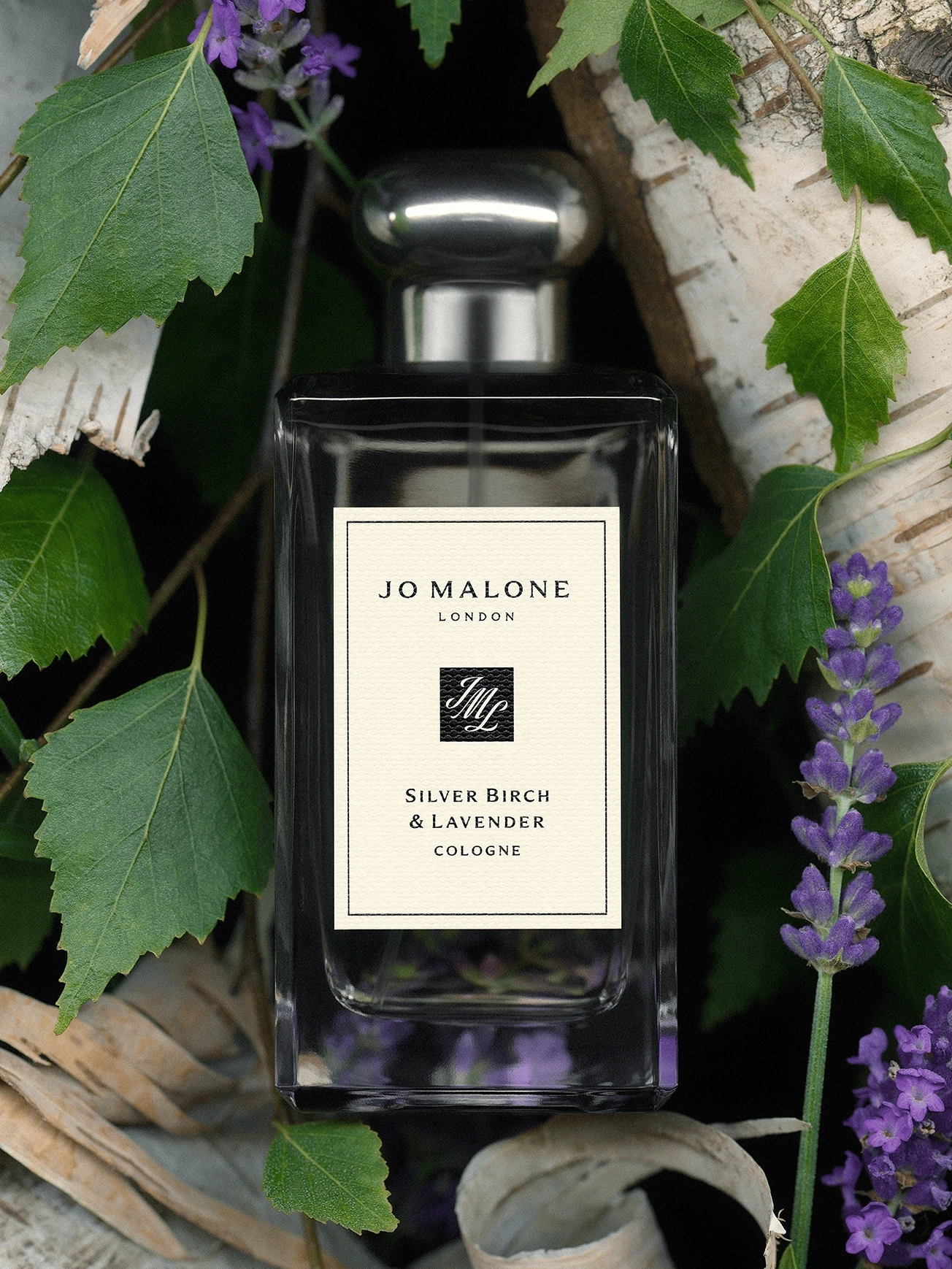 Jo Malone London - Silver Birch & Lavender Cologne | MECCA