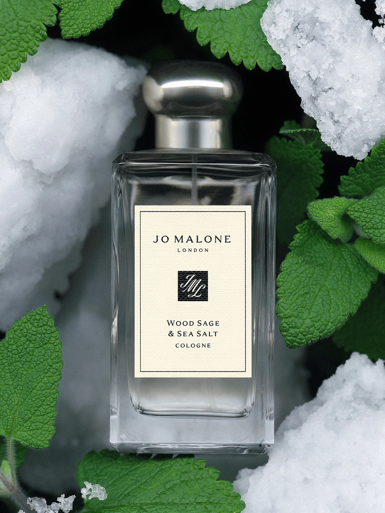 Alternative Image Jo Malone London Wood Sage Sea Salt Cologne