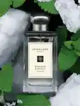 Alternative Image Jo Malone London Wood Sage Sea Salt Cologne