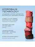 Alternative Image Westman Atelier Hydrobalm Tinted Lipstick
