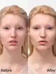 Alternative Image Fara Homidi Beauty Essential Face Compact