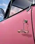 Alternative Image DSDURGA Rose Pacific EDPPDP Video