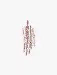Swatch BYREDO Lip Pencil Brown