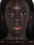 Alternative Image Anastasia Beverly Hills Impeccable Blurring Second Skin Matte Foundation (2)