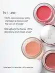 Alternative Image CLINIQUE Daily Calm Lip Cheek Color Sweet Nectar