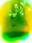 Alternative Image VYRAOI Am Verdant Eau De Parfum50m L