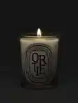 Alternative Image Diptyque Ortie Candle190g