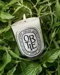 Alternative Image Diptyque Ortie Candle190g