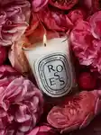 Alternative Image Diptyque Roses Candle190g Refill