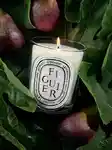 Alternative Image Diptyque Figuier Candle190g Refill