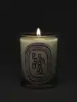 Alternative Image Diptyque Rhubarbe Candle190g