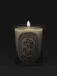 Alternative Image Diptyque Sesame Candle190g