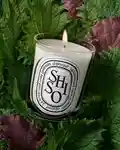 Alternative Image Diptyque Shiso Candle190g