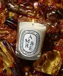 Alternative Image Diptyque Ambre Candle190g