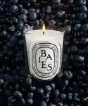Alternative Image Diptyque Baies Candle190g