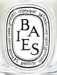 Alternative Image Diptyque Baies Candle190g