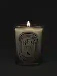Alternative Image Diptyque Benjoin Candle190g