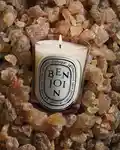 Alternative Image Diptyque Benjoin Candle190g
