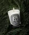 Alternative Image Diptyque Cypres Candle190g