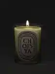 Alternative Image Diptyque Choisya Candle190g