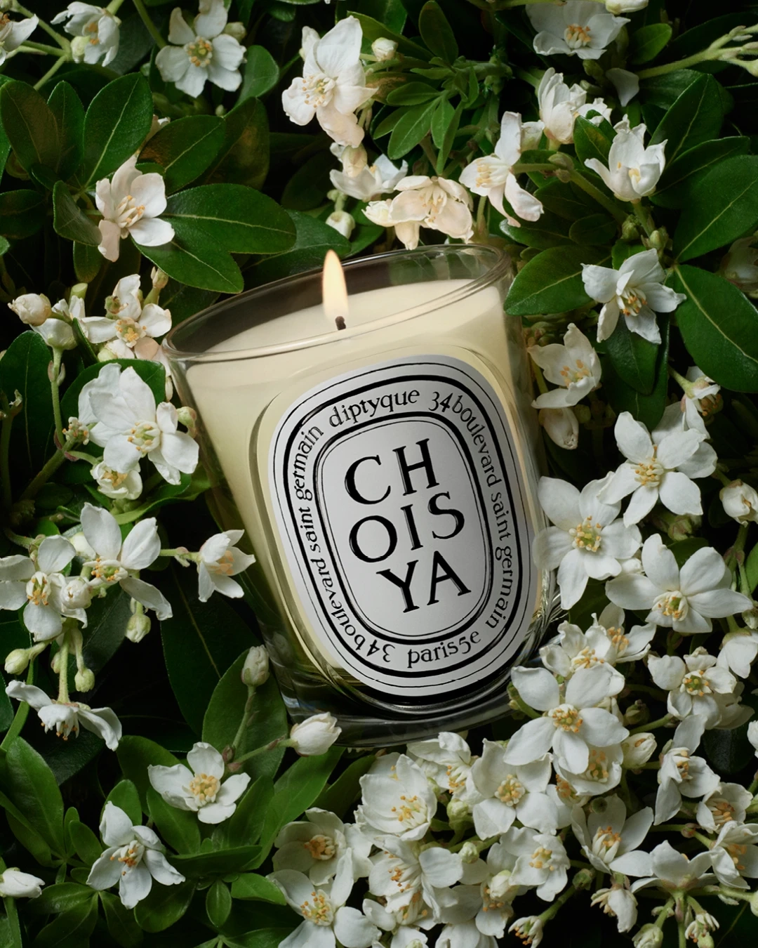 Alternative Image Diptyque Choisya Candle190g