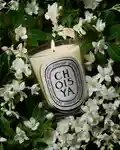 Alternative Image Diptyque Choisya Candle190g