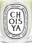 Alternative Image Diptyque Choisya Candle190g