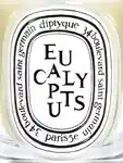 Alternative Image Diptyque Eucalyptus Candle190g