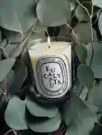 Alternative Image Diptyque Eucalyptus Candle190g